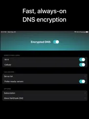 netshade dns айпад изображения 1