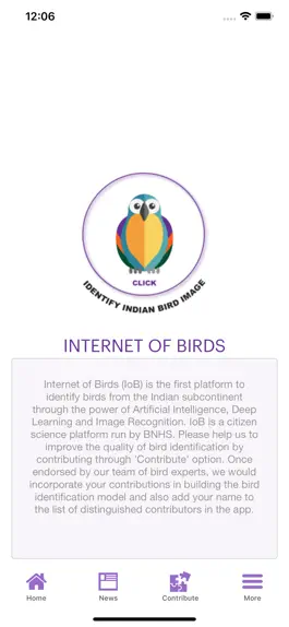 Game screenshot Internet of Birds apk