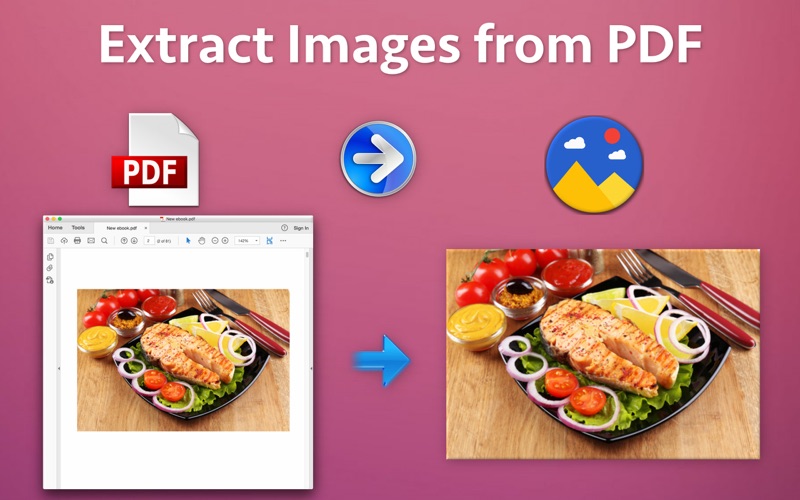 Screenshot #1 pour Extract PDF Images