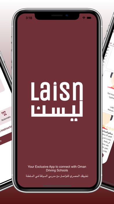 Laisn Screenshot