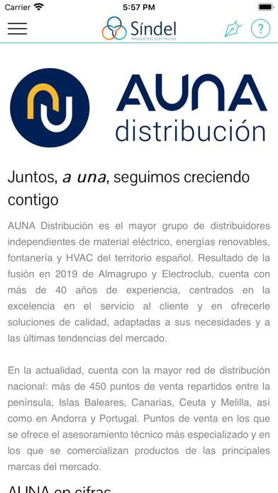 Grupo Síndel Screenshot