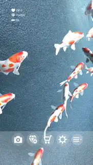 koi - aquarium problems & solutions and troubleshooting guide - 2