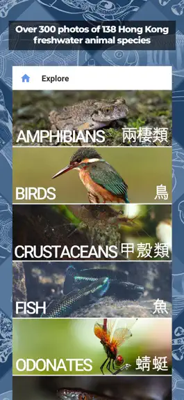 Game screenshot Freshwater Species: Hong Kong apk