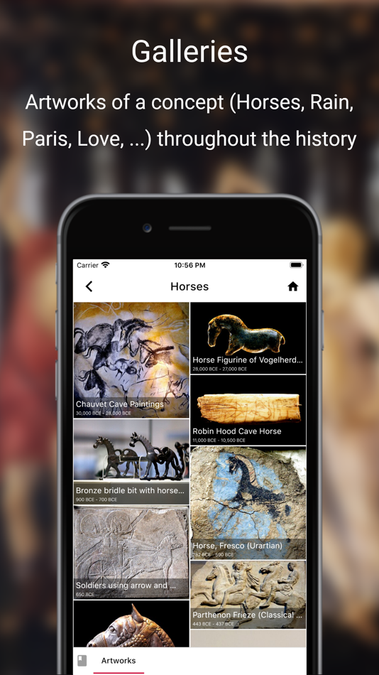 #7. History of Art App (iOS) 由: Mustafa Gunes
