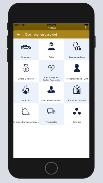 PIMSA Agente de Seguros screenshot-3