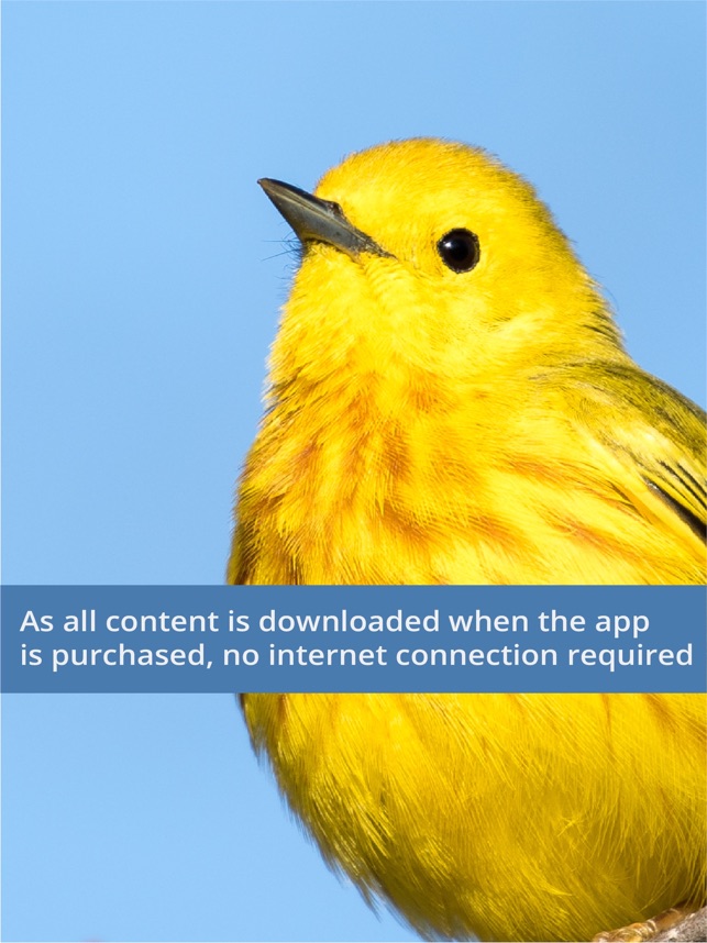 Mac (Apple) - singing bird Robin Bird Print Arthur Singer Mid-Century Number 5 in a