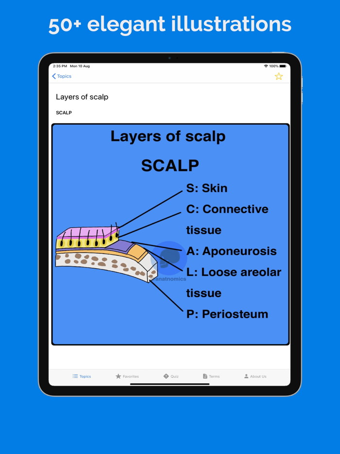 Anatnomics Anatomy mnemonics