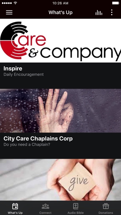 Care & Company Screenshot