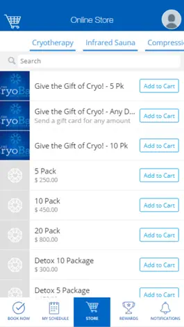 Game screenshot The CryoBar hack