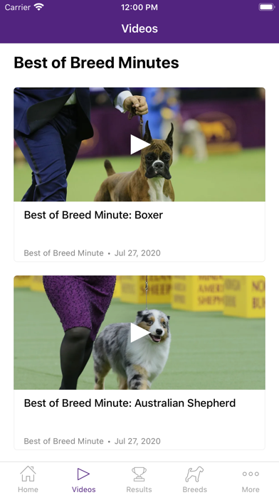 Westminster Dog Show Screenshot