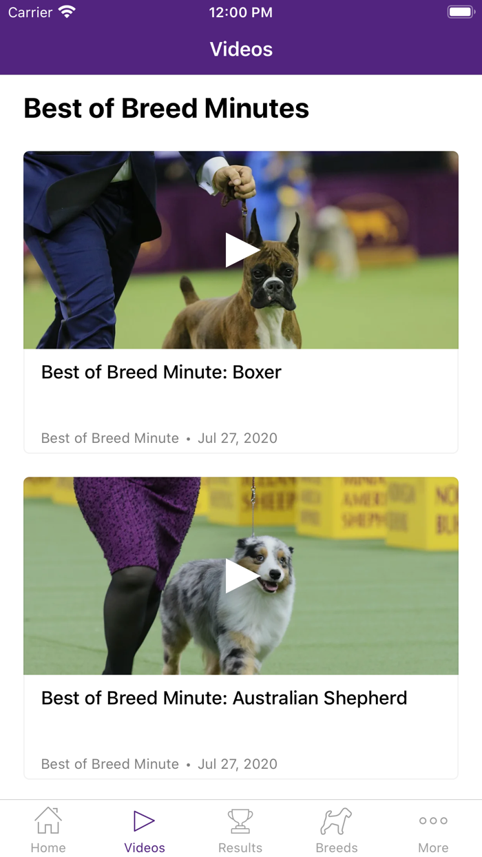 Westminster Dog Show