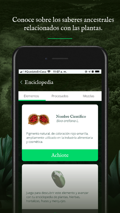 Destinos Antioquia Madre Selva Screenshot