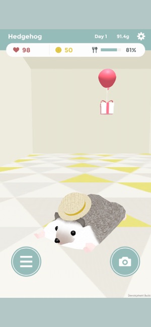 Hedgehog Life(圖3)-速報App