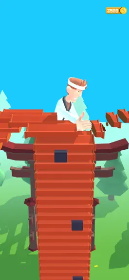 Game screenshot Karate Boy 3D apk