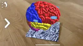 Game screenshot Alzheimer AR mod apk