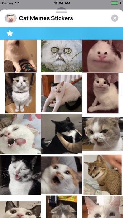 Screenshot #2 pour Cat Memes Stickers