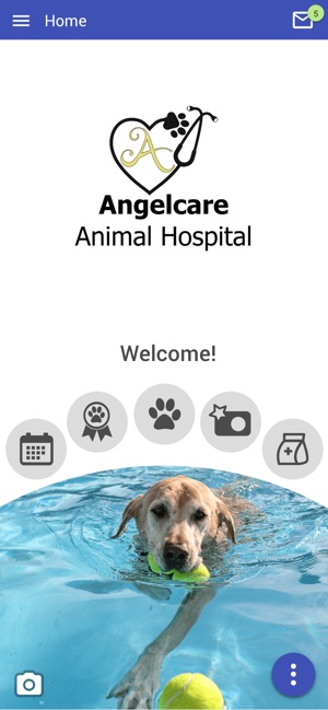angelcare veterinary hospital