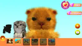 Game screenshot 小猫咪：可爱宠物养成游戏 apk