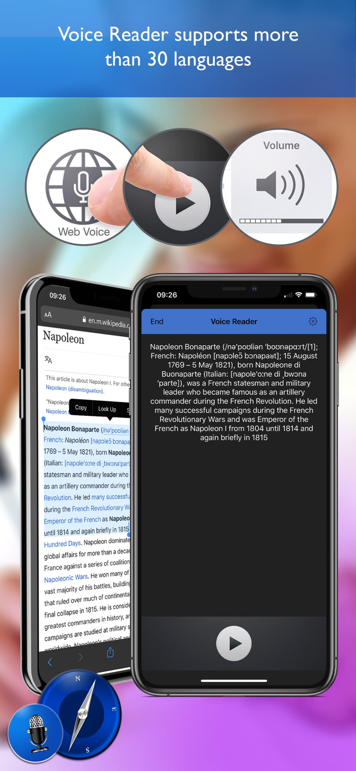 Voice Reader For Web