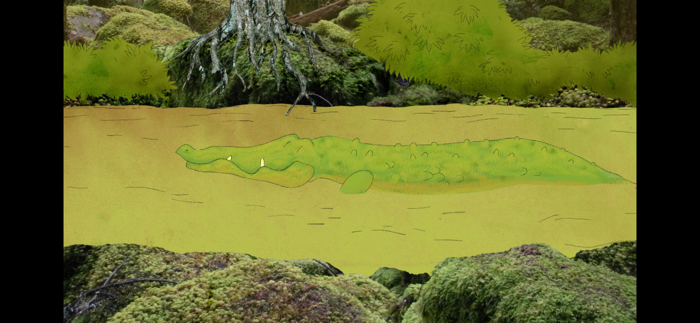 Animals and their environment