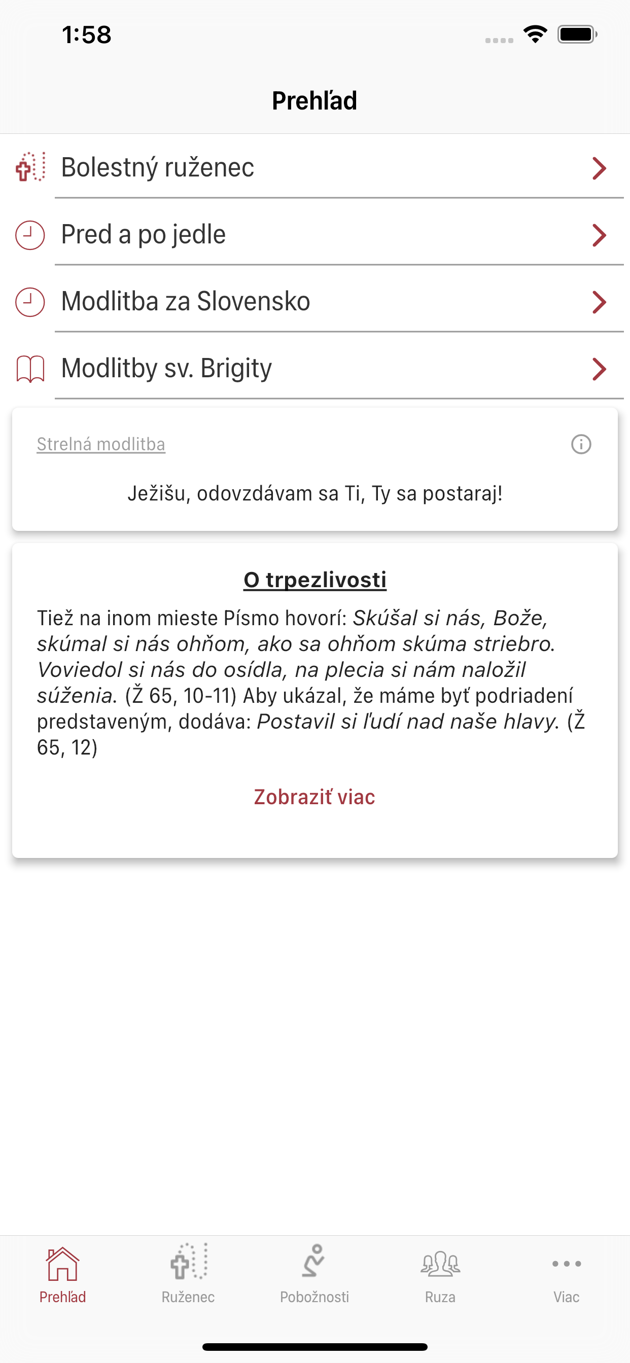 Pútnik - Na ceste k svätosti