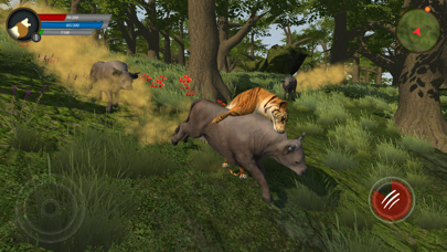 Asian Tiger Survival Simulator Screenshot