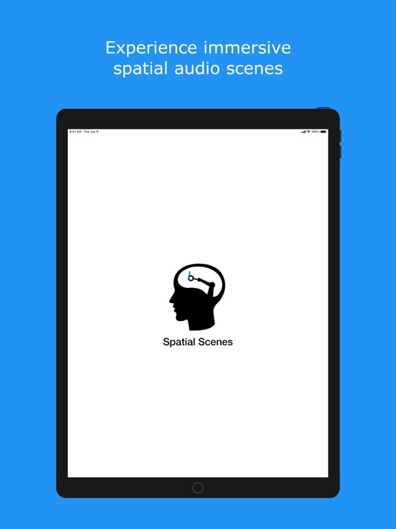 Spatial Scenes iPad screenshot 1 - Entertainment app