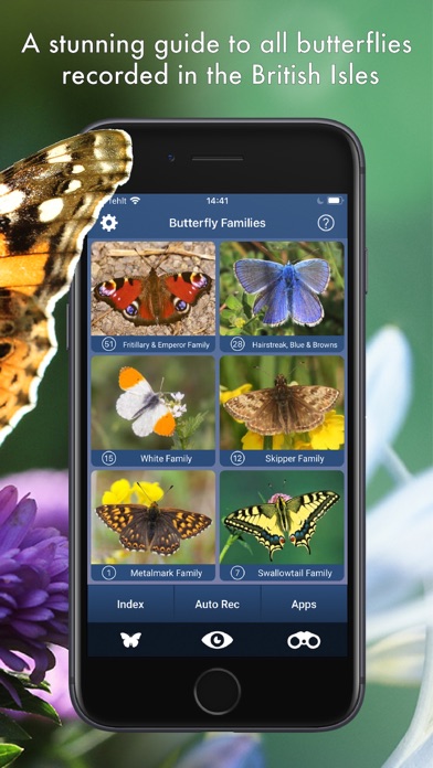 Screenshot #3 pour Butterfly Id - UK Field Guide