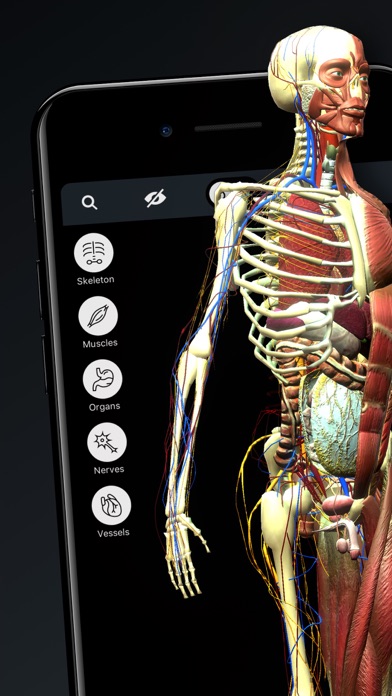 Screenshot #1 pour Corps Humain: Atlas Anatomie