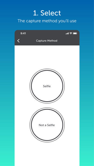 Snapp! By FluidMedia Screenshot