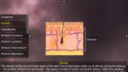 skin: integumentary system problems & solutions and troubleshooting guide - 3