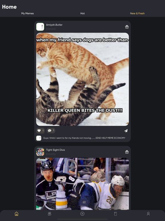 Screenshot #4 pour Memegram.