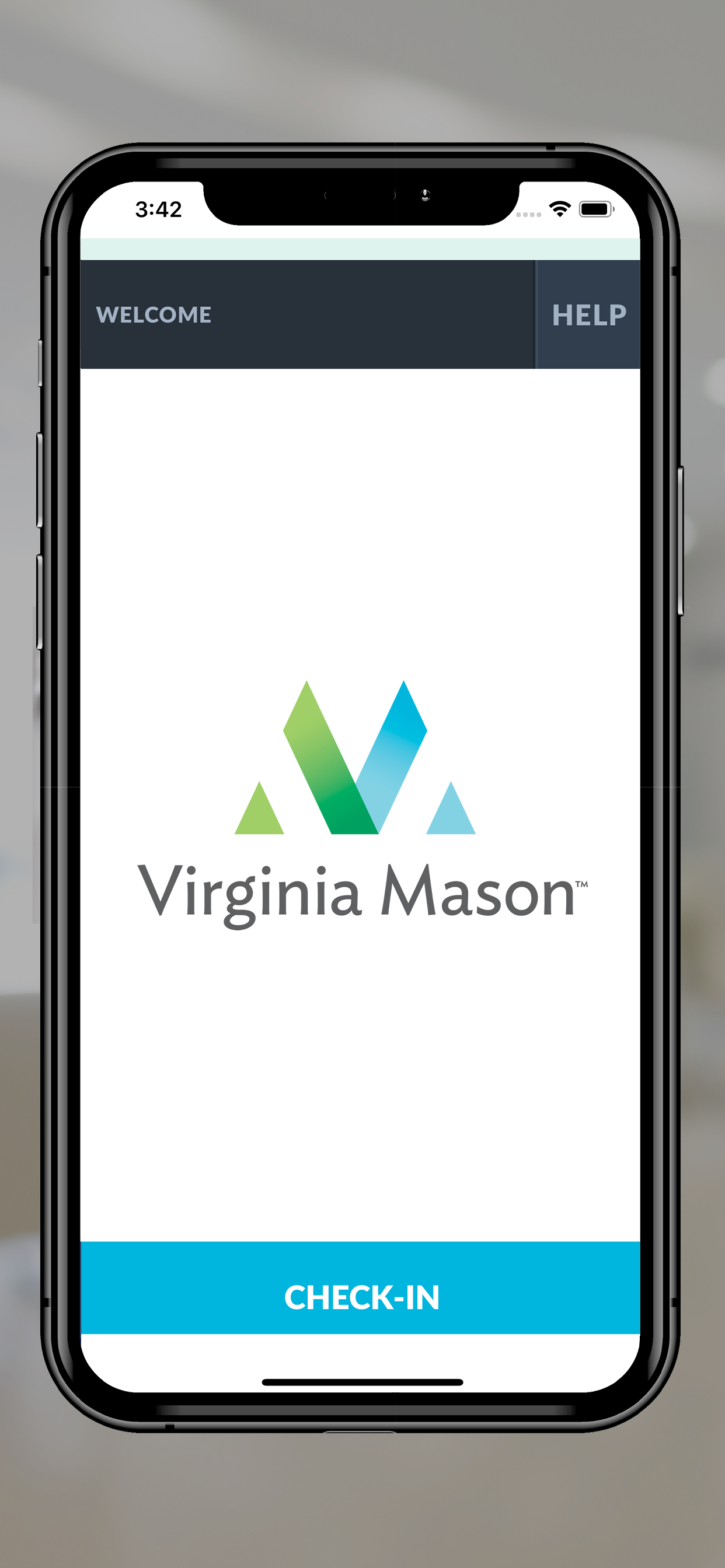 Virtual Mason