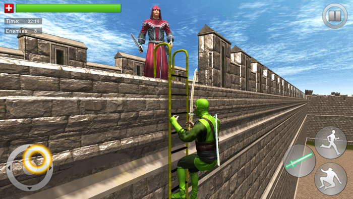 Ninja Warrior Samurai Assassin