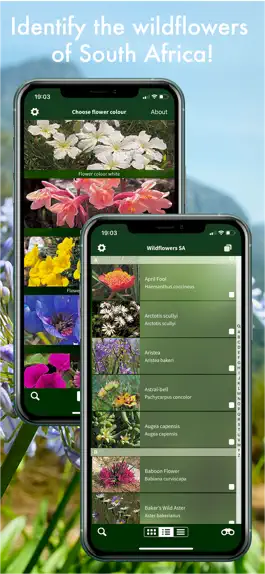 Game screenshot Wildflowers of South Africa apk