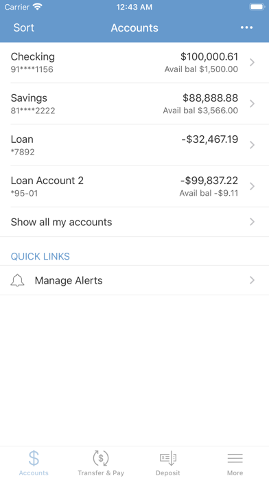 Brookline Municipal CU Screenshot