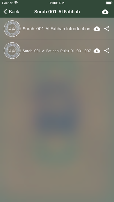 Quran Urdu Audio Screenshot
