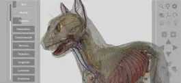 Game screenshot 3D Cat Anatomy hack