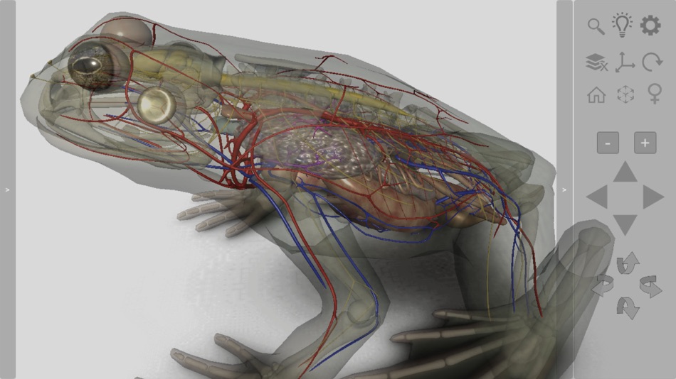 #7. 3D Frog Anatomy (iOS) Bởi: biosphera.org