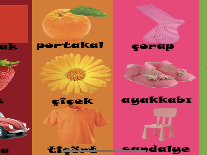 Renkler Şekiller Sayılar