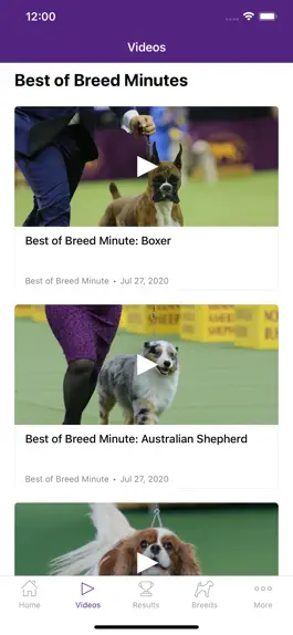 Game screenshot Westminster Dog Show hack