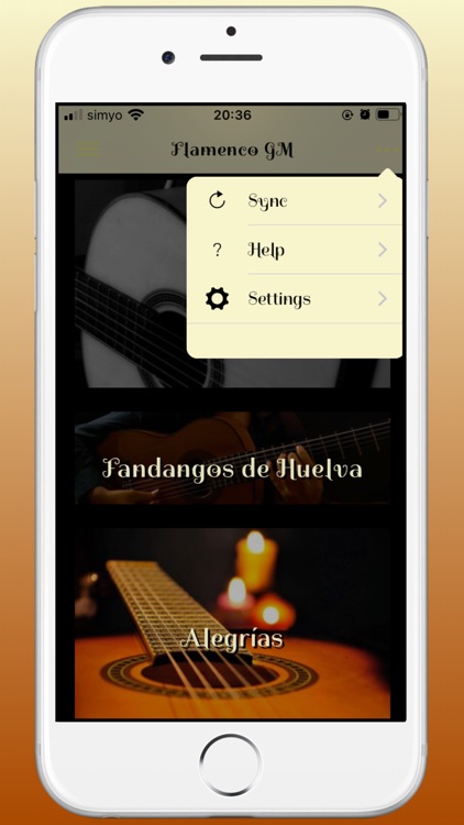 Flamenco Guitar Master