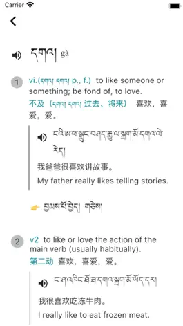 Game screenshot 德格方言词典 hack