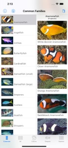 Solomon Islands Fish ID screenshot #2 for iPhone