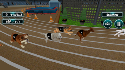 Dog Racing Screenshot