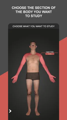 Game screenshot RX - Radiographic Positioning apk