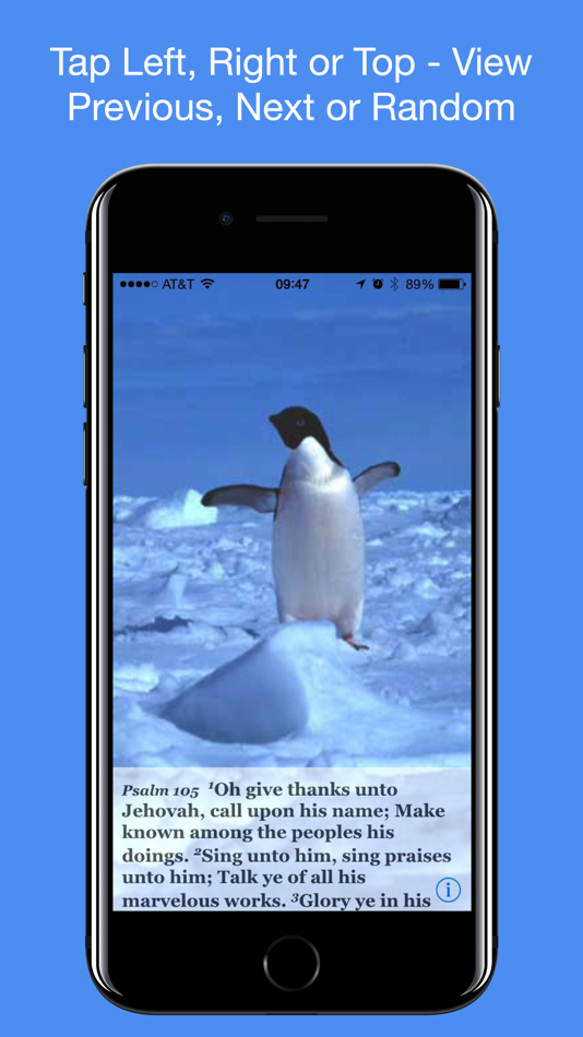 #7. Psalm Daily Quotes ASV (iOS) 由: Systems of Merritt, Inc.