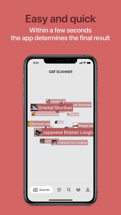 Cat Scanner