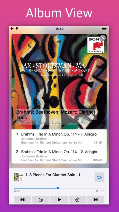 Albumusic2 Album Music Player Screenshot