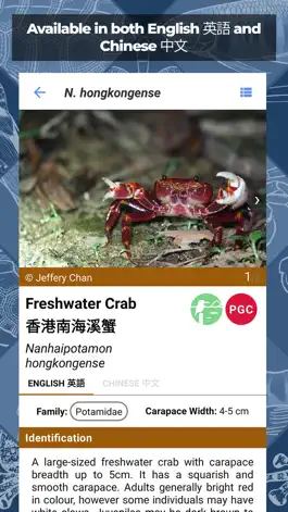 Game screenshot Freshwater Species: Hong Kong hack